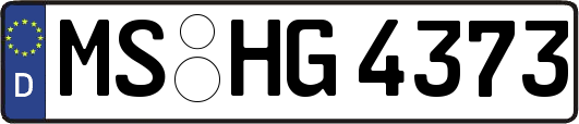 MS-HG4373