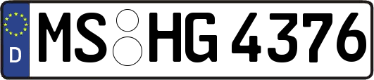MS-HG4376