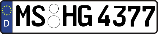 MS-HG4377