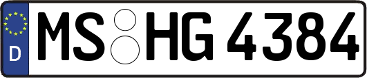 MS-HG4384