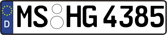 MS-HG4385