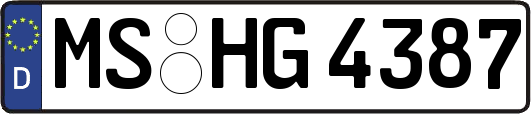 MS-HG4387