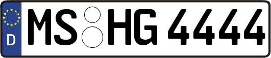 MS-HG4444