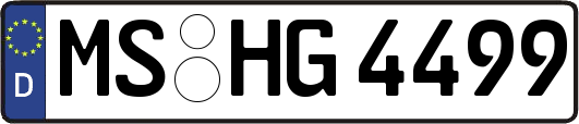 MS-HG4499