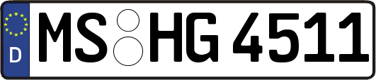 MS-HG4511