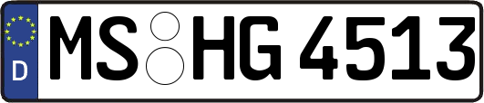 MS-HG4513