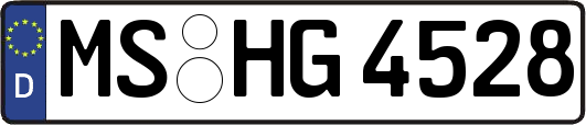 MS-HG4528