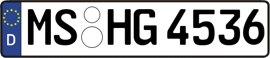 MS-HG4536