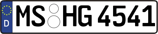 MS-HG4541