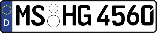 MS-HG4560