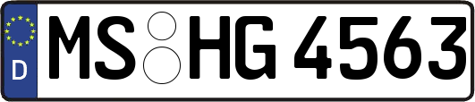 MS-HG4563