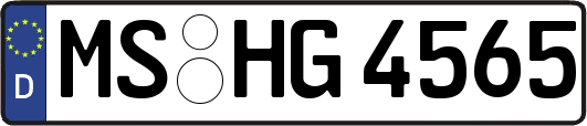 MS-HG4565