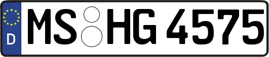 MS-HG4575