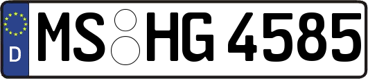 MS-HG4585