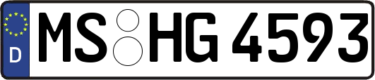MS-HG4593