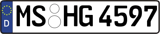 MS-HG4597