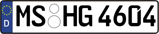 MS-HG4604