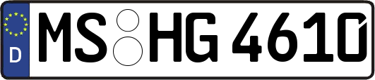 MS-HG4610