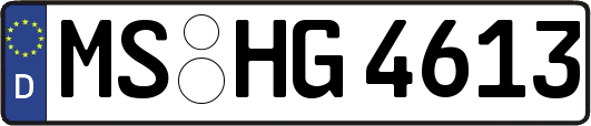 MS-HG4613