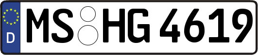MS-HG4619