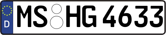 MS-HG4633