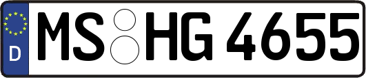 MS-HG4655