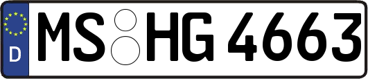 MS-HG4663