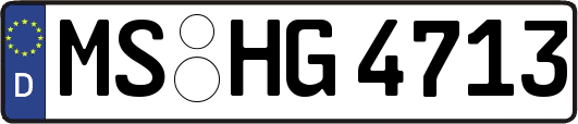 MS-HG4713
