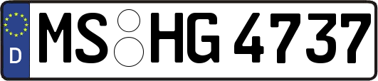 MS-HG4737