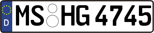 MS-HG4745