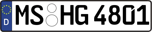 MS-HG4801