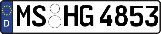 MS-HG4853