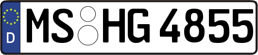 MS-HG4855