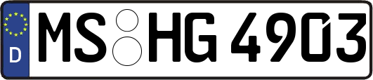 MS-HG4903