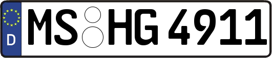 MS-HG4911