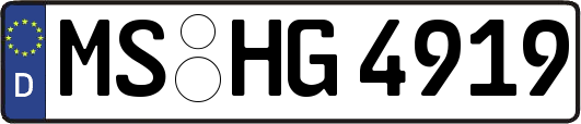 MS-HG4919