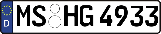 MS-HG4933