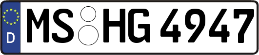 MS-HG4947