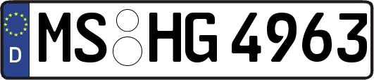 MS-HG4963