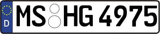 MS-HG4975