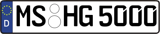 MS-HG5000