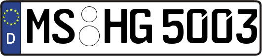 MS-HG5003