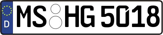 MS-HG5018