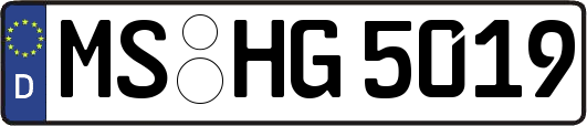 MS-HG5019