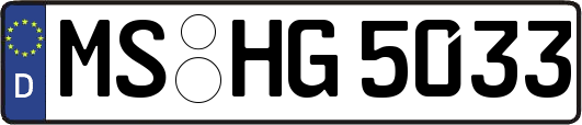 MS-HG5033