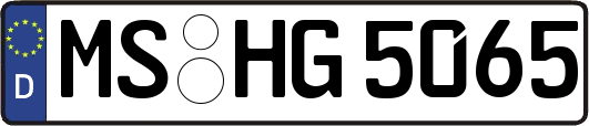 MS-HG5065