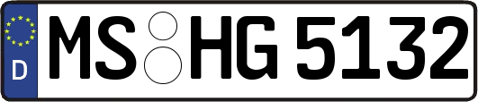 MS-HG5132