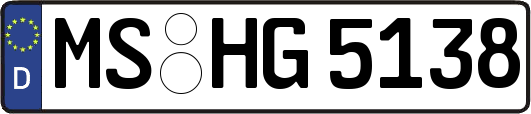 MS-HG5138