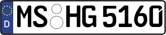 MS-HG5160