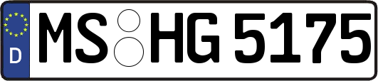 MS-HG5175